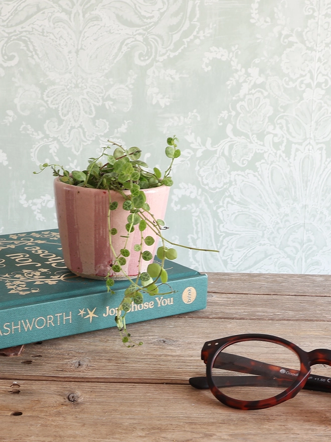Mini Handmade Ceramic Stoneware Plant Pot in Pink Stripe sat on a book next to a pair of glasses on wooden table. The plant pot is filled with a green trailing plant. 