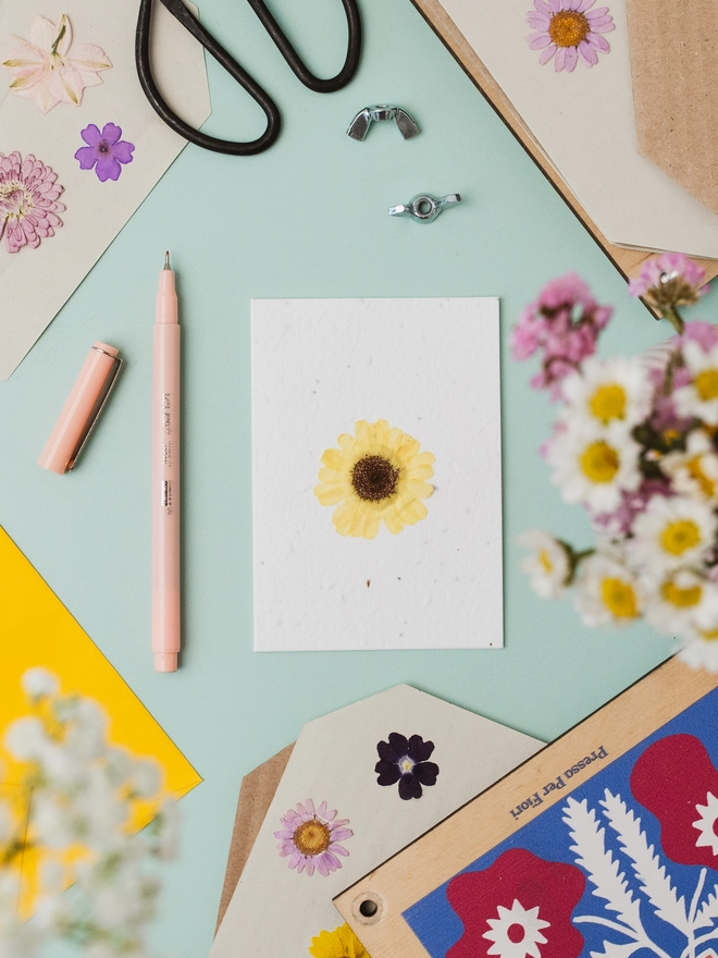 Real Pressed Flower Notecard, Yellow Daisy