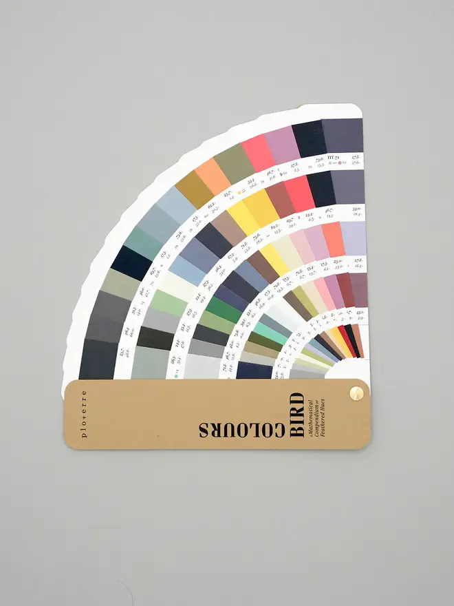 Bird Colours Book