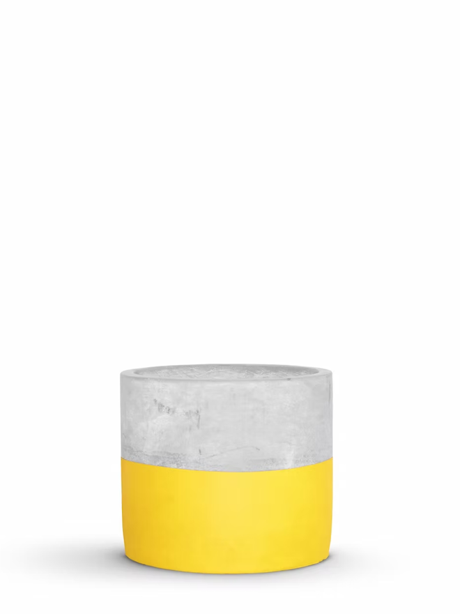 half full concrete plant pot. a grey concrete plant pot with the bottom half painted yellow.