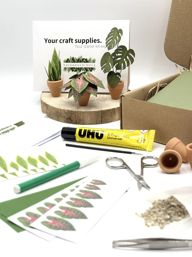 Close up of paper plant kit contents