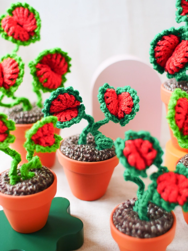 crochet Venus Flytrap in terracotta pot