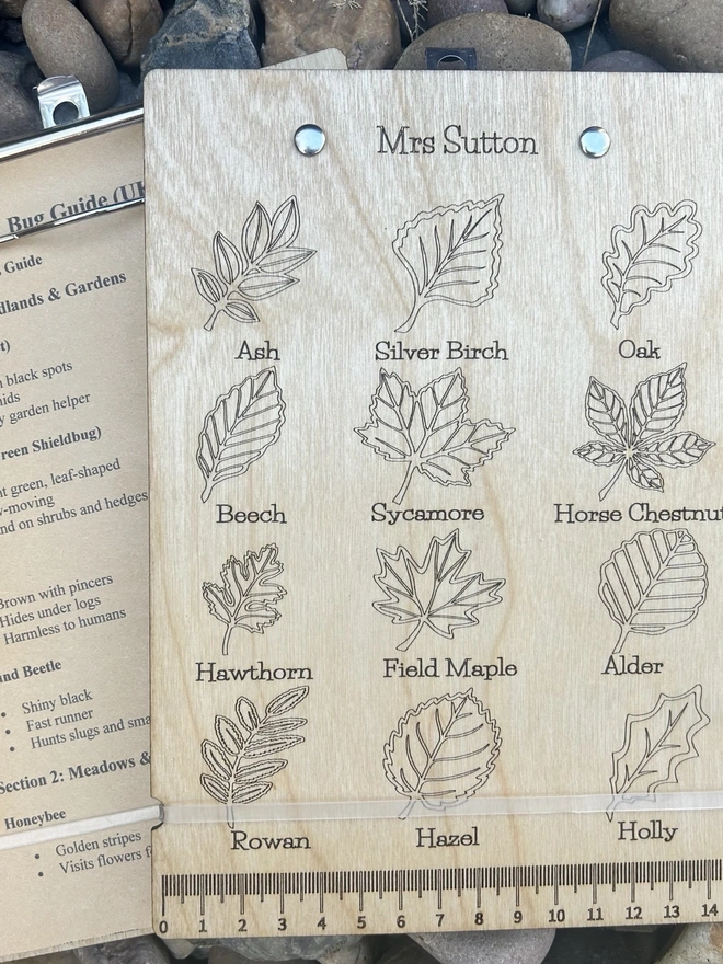 Leaf clipboard showing personalisation and scale ruler