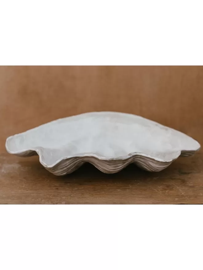 Giant Clam Shell by Charlotte Cadzow