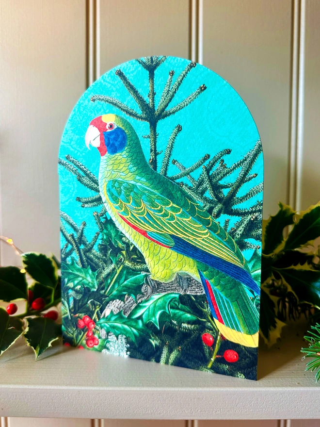 A photo showing an arched shaped Christmas card with a green amazon parrot on a Christmas tree with holly. The card sits on a shelf, displayed with Christmas foliage.