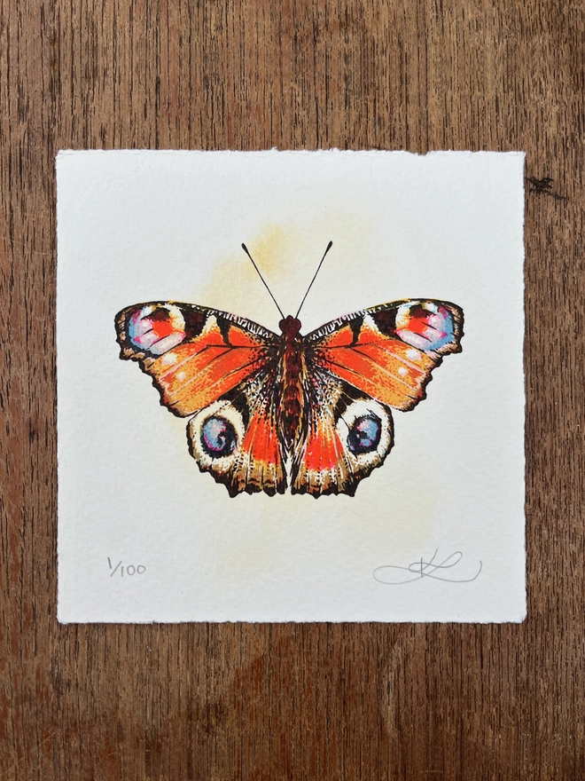 Peacock Butterfly Screenprint
