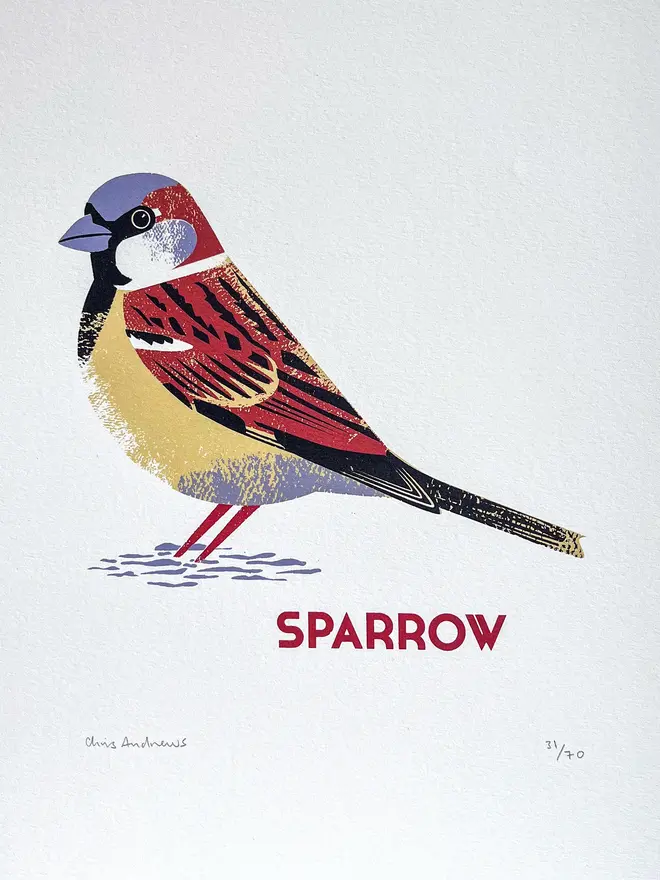 illustrated sparrow print.