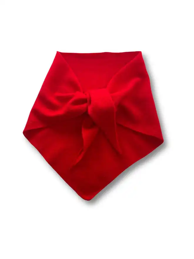 Red  Triangle Neckerchief Scarf on White Background