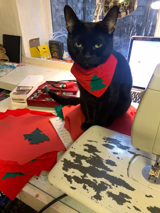 Slip on Bandanas For Cats at Christmas