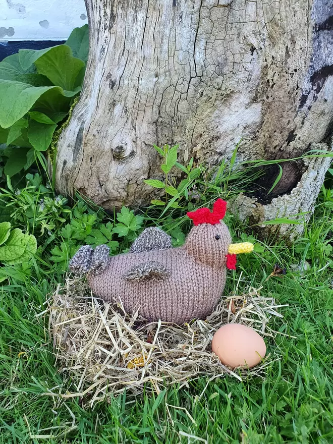 Henrietta the little brown hen on her nest with an egg