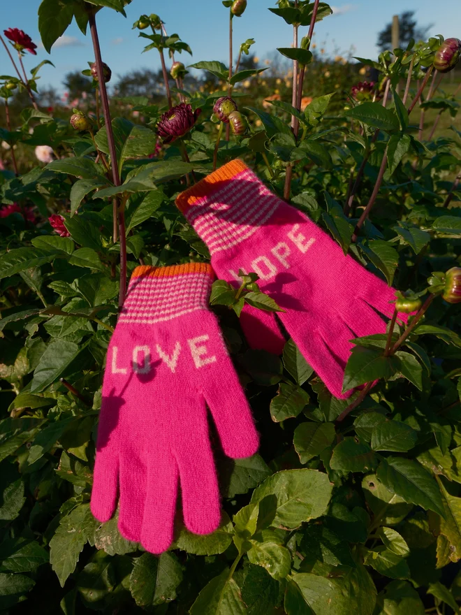 Quinton & Chadwick Love & Hope Gloves in Pink and Orange