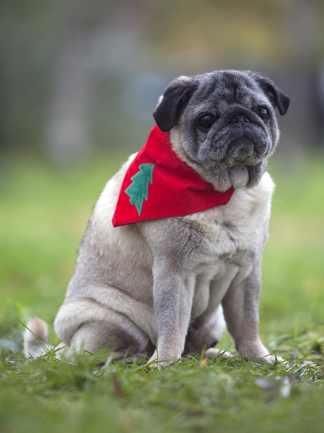 Classic Christmas Tree Slip on Bandana Pud