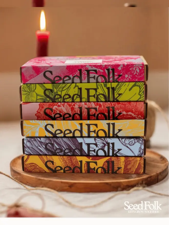 Six Seed Folk seed collection boxes stacked and photographed in soft candlelight