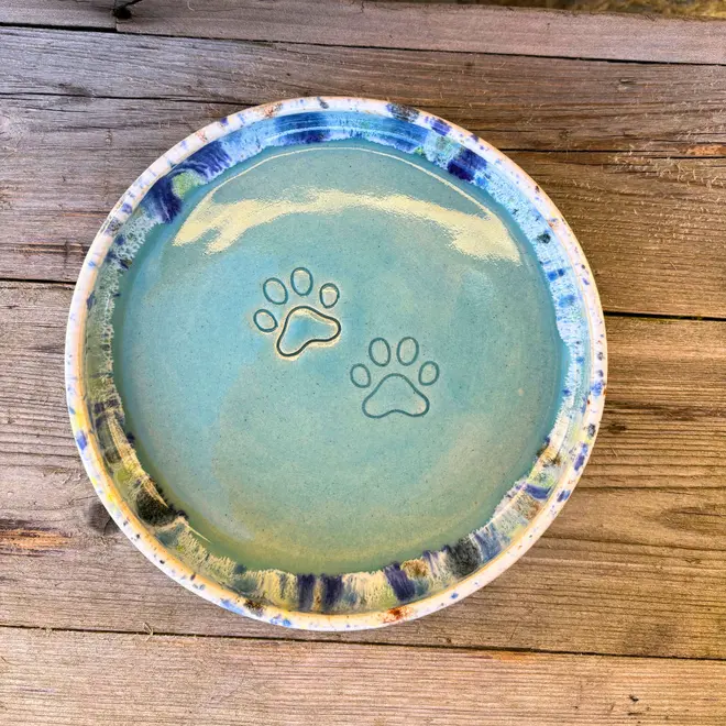 Shoreline Cat Bowl, a colourful cat bowl placed on a wooden surface. 