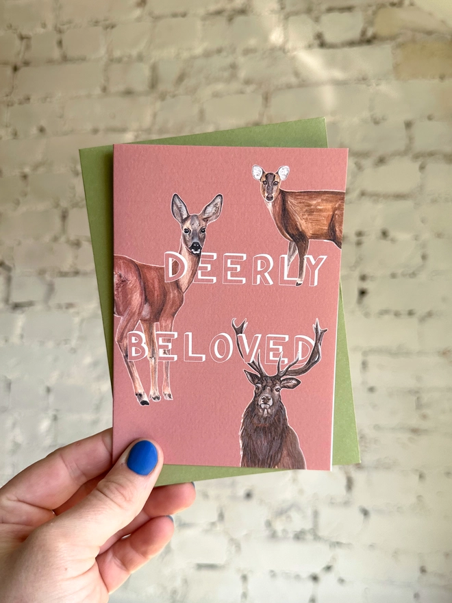 a peachy pink greetings card featuring three illustrations of different deer breeds with the text “deerly beloved” with a green envelope