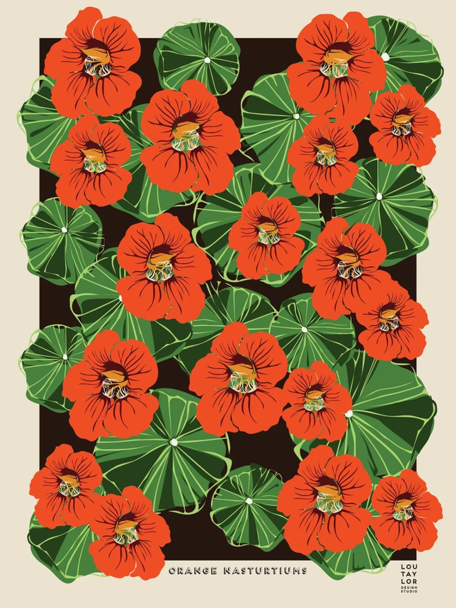 orange nasturtiums Giclee print