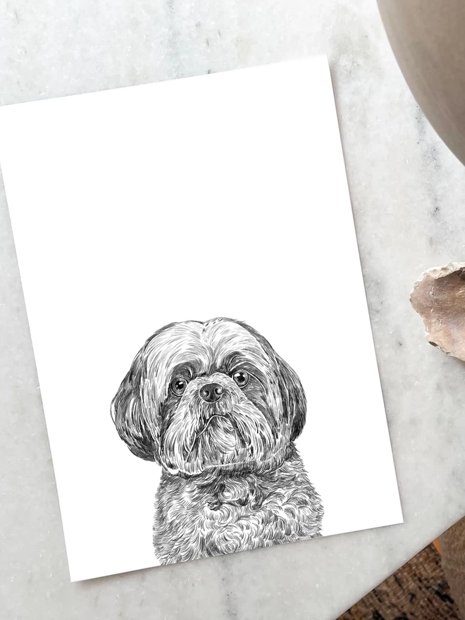 Art print of hand drawn portrait of a shih tzu laying on a table
