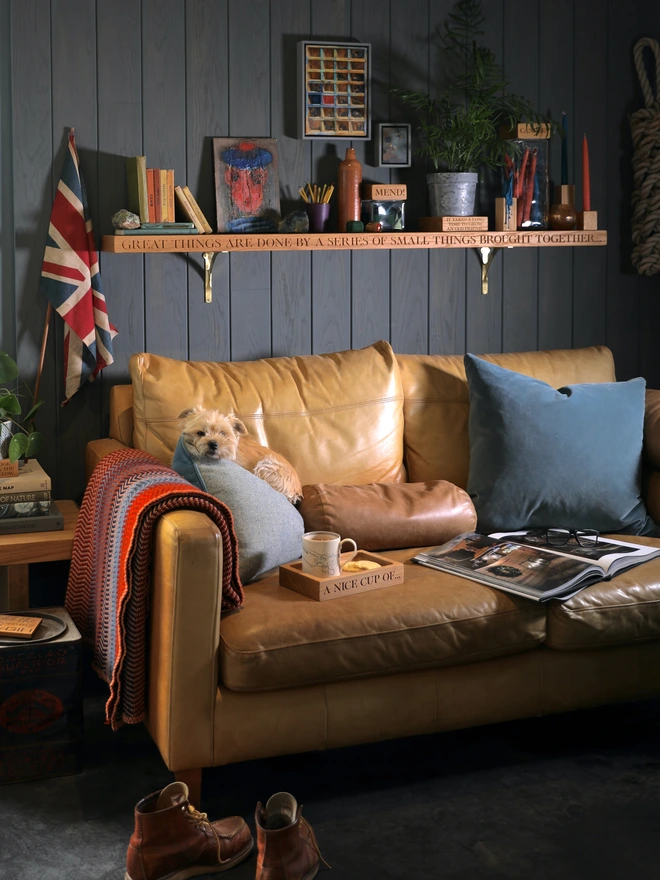 Shelf above sofa with dog
