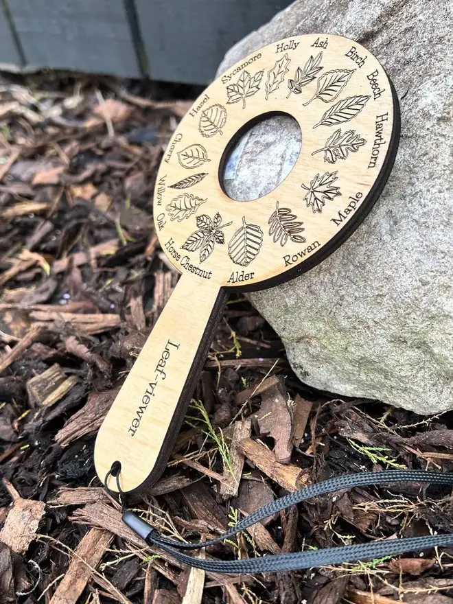 leaf illustrations, displayed on forest floor materials.