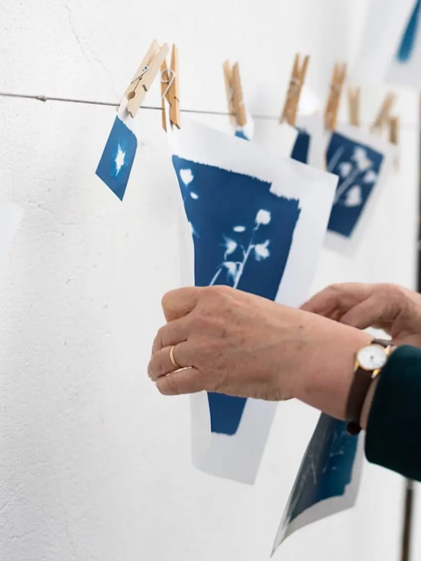 A5 Cyanotype Paper To Create Beautiful Prints With Sunlight