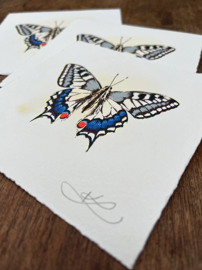 Swallowtail Butterfly Screenprint