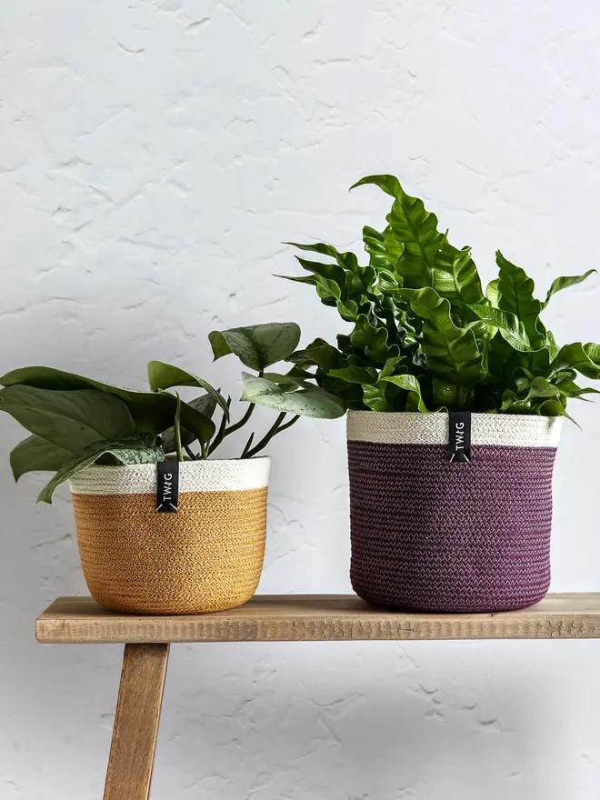Small Natural Cotton Pot