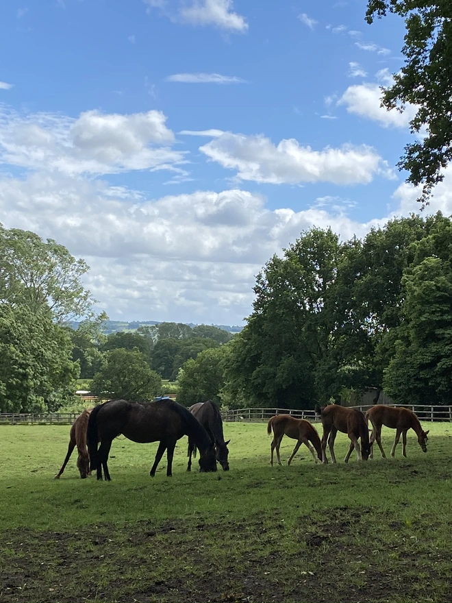 The Heart of England