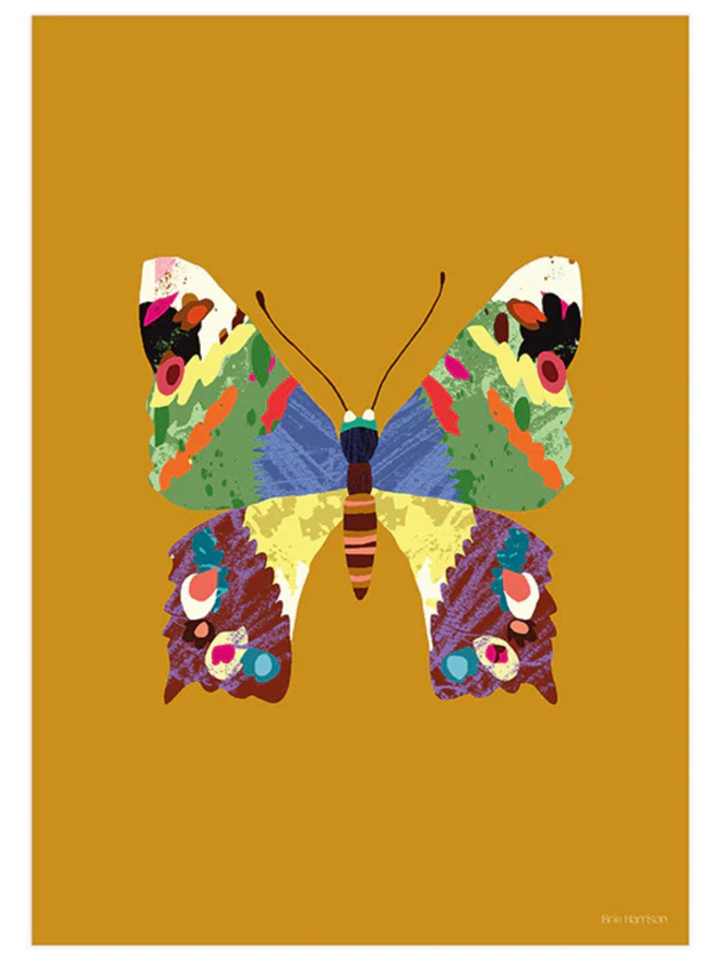 colourful butterfly print