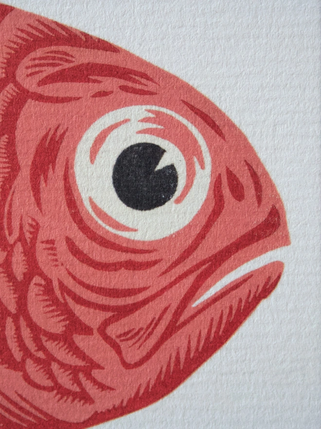 Greeting card with a fish