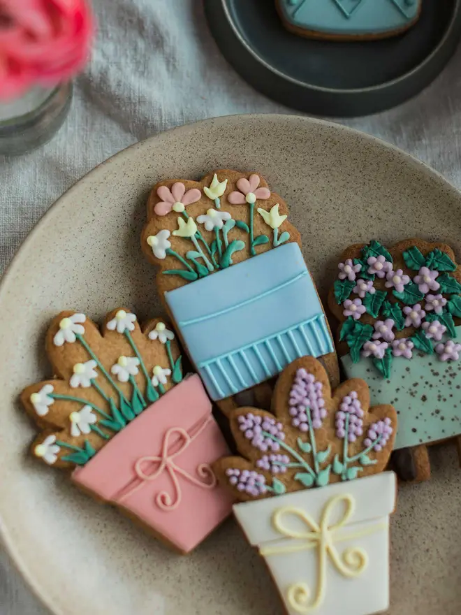 House Plant Biscuit Gift Set