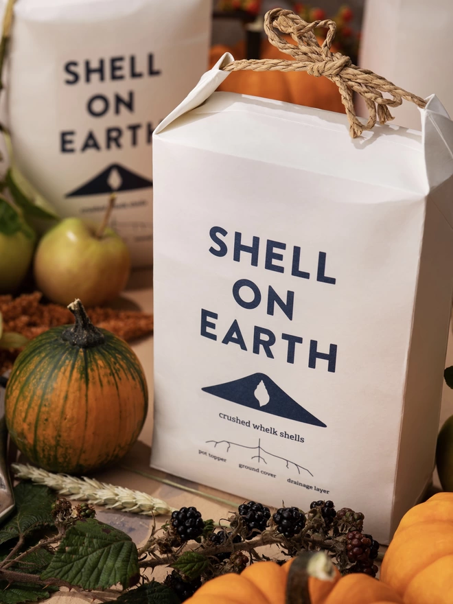 Shell on Earth Mini Bag