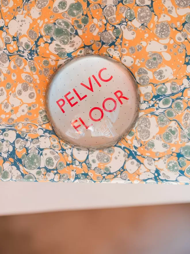 Pelvic Floor Paperweight