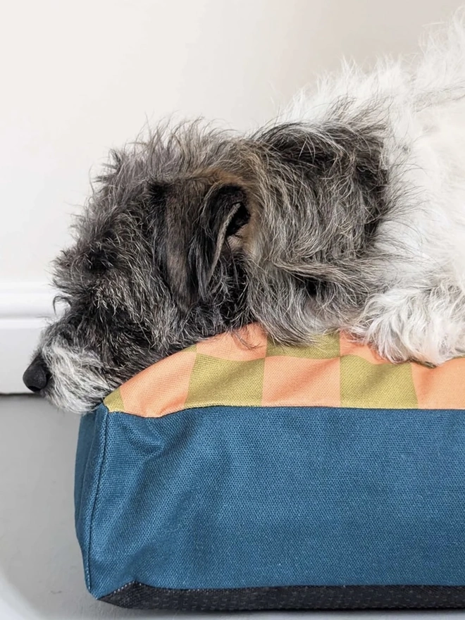  Printed Cotton Patterned Dog Bed, a dog sitting on a patterned dog bed on a tiled floor in front of a white wall. 