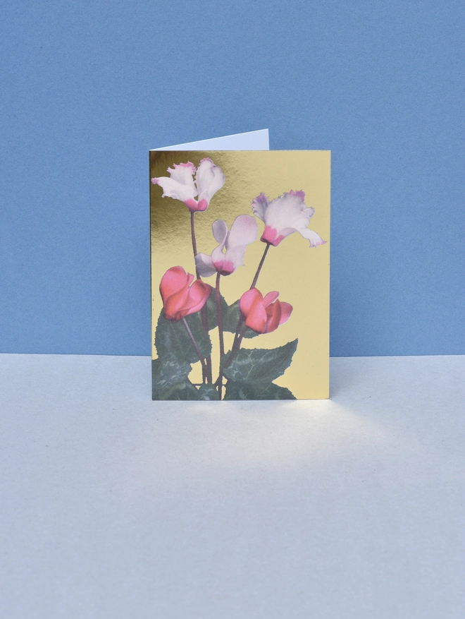 cyclamen card