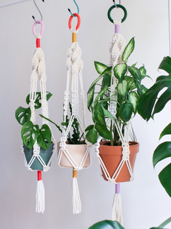 Macrame plant hangers 