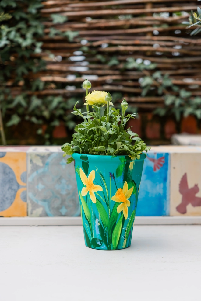 A beautifully hand painted interior terracotta plant pot. Background painted in a rich blue green adorned in vibrant Cornish Trelawney Gold daffodil flowers.