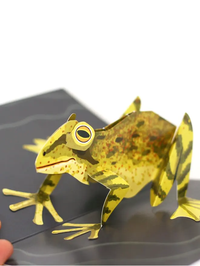 3d frog pop out card