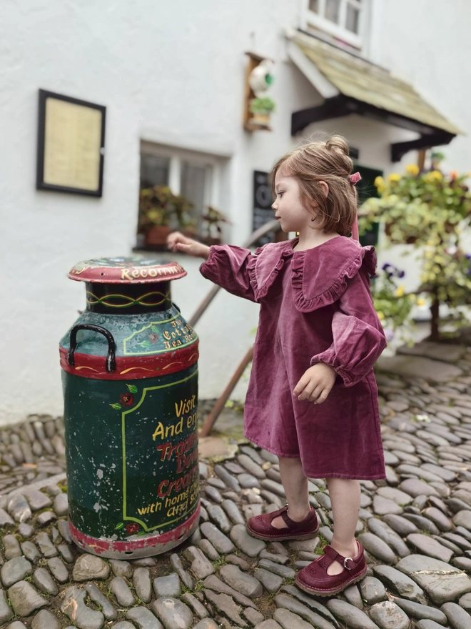 kids velvet dress with big frill collar rose