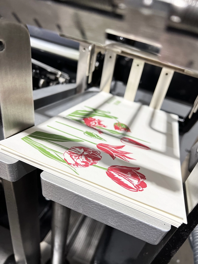 Tulip cards just printed on the press