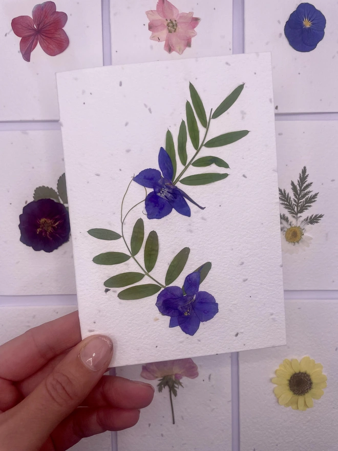 Real Pressed Flower Plantable Card, Purple