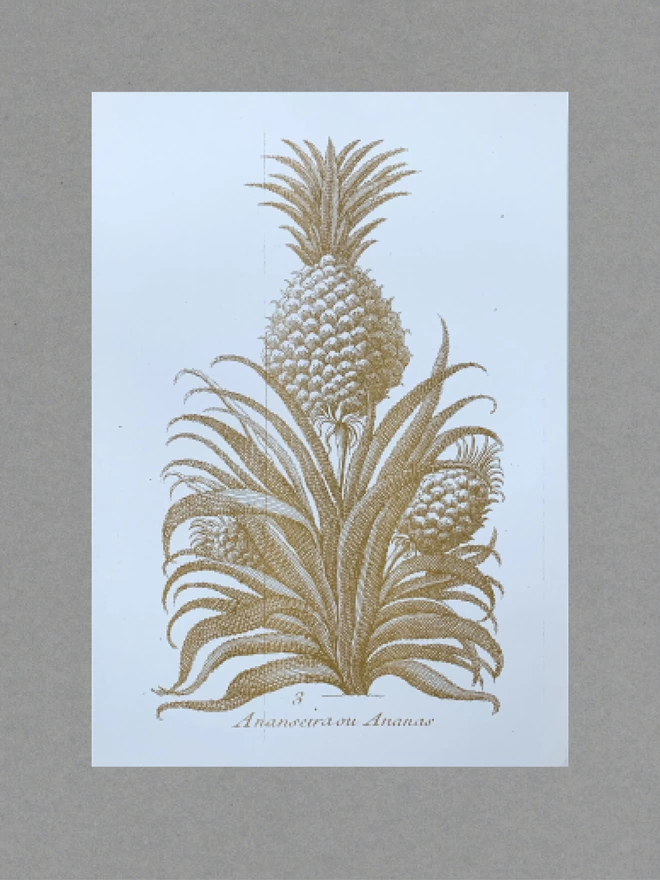 A3 risograph print with an image of a gold botanical pineapple.