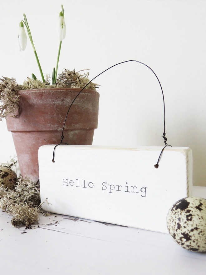 handpainted wooden hello spring sign