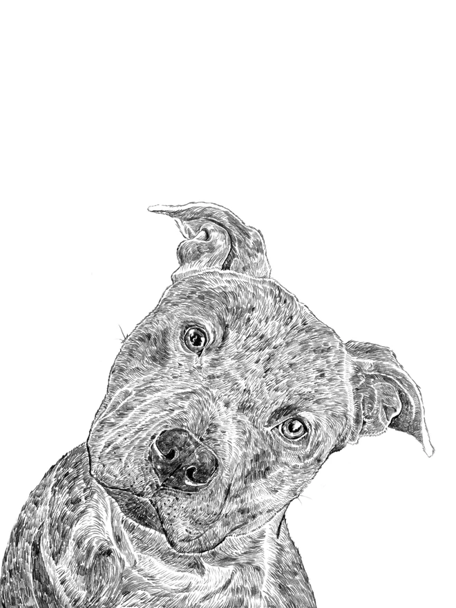 Detail of staffordshire bull terrier art print