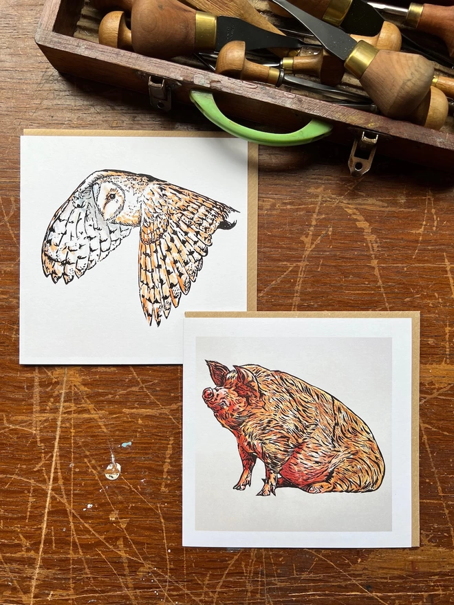 barn owl and pig art cards