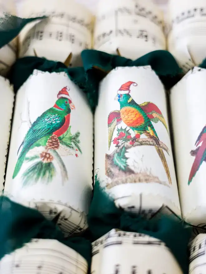 Christmas Parrot Crackers (Set Of 20)