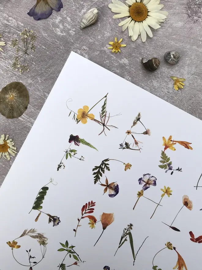 Alphabet Print Of Real Pressed Wildflowers, a print of the alphabet with pressed flowers on a wooden surface. 