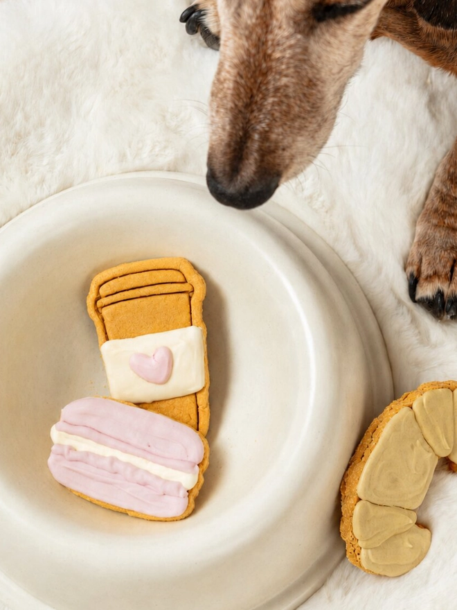 Parisian Bakery iced dog biscuit trio arranged beside a dog, featuring a croissant, takeaway coffee cup and pink macaron.