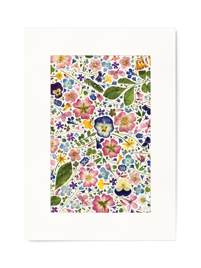 Colourful A3 Floral Print of Pressed Flowers arranged on a light background.