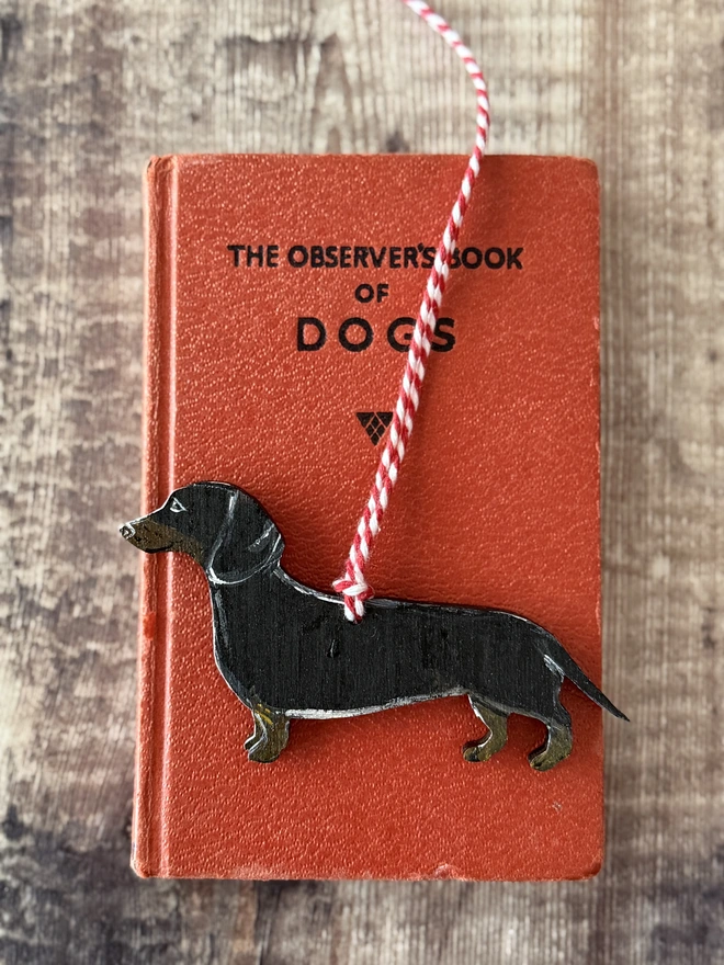 Smooth Haired Dachshund Christmas Decoration Handpainted placed into a red book about dogs and string with red and white twine