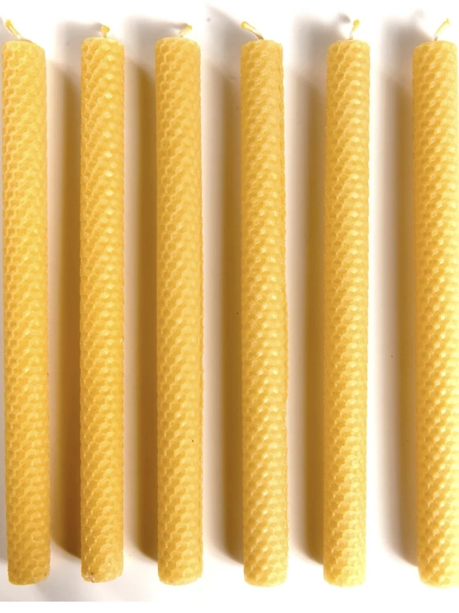 Hand Rolled Pure Beeswax Dinner Candles 27cm Tall, Box of 6